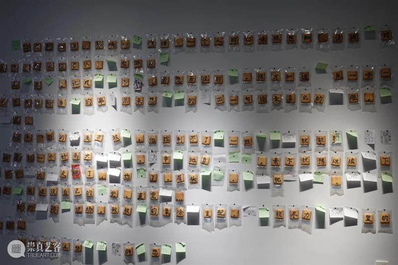 展览现场回顾与文本|「...............」 博文精选 液态 崇真艺客